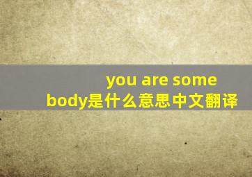 you are somebody是什么意思中文翻译